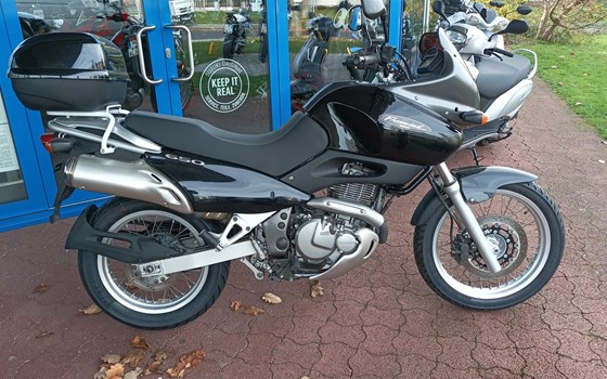 Gebrauchtmotorrad Suzuki XF 650 Freewind - Bild 2