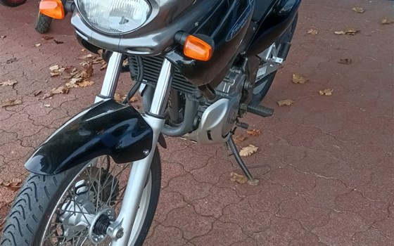 Gebrauchtmotorrad Suzuki XF 650 Freewind - Bild 3