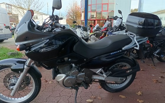 Gebrauchtmotorrad Suzuki XF 650 Freewind - Bild 4