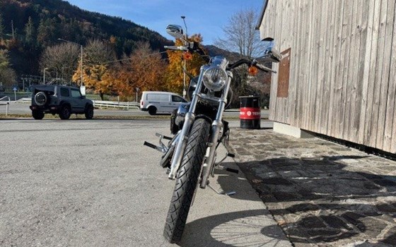 Gebrauchtmotorrad Harley-Davidson Sportster XL 1200C Custom - Bild 2
