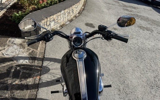 Gebrauchtmotorrad Harley-Davidson Sportster XL 1200C Custom - Bild 6