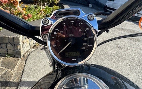 Gebrauchtmotorrad Harley-Davidson Sportster XL 1200C Custom - Bild 7