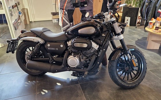 Neufahrzeug Benda Chinchilla 300 - Bild 1