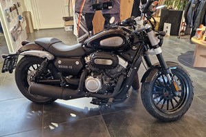 Angebot Benda Chinchilla 300