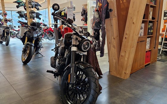 Neufahrzeug Benda Chinchilla 300 - Bild 2