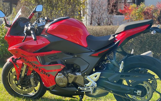 Neufahrzeug QJ Motor SRK 600 RS - Bild 1