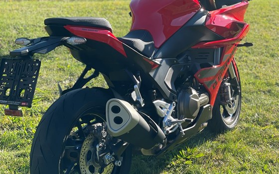 Neufahrzeug QJ Motor SRK 600 RS - Bild 6