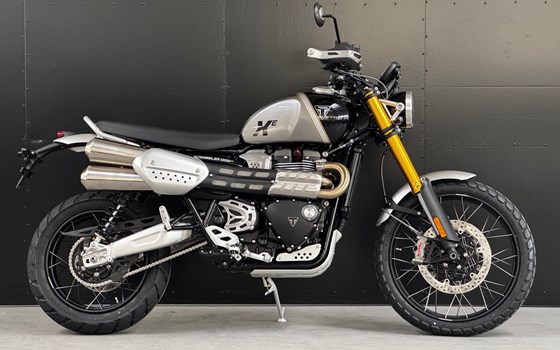 Neufahrzeug Triumph Scrambler 1200 XE - Bild 2