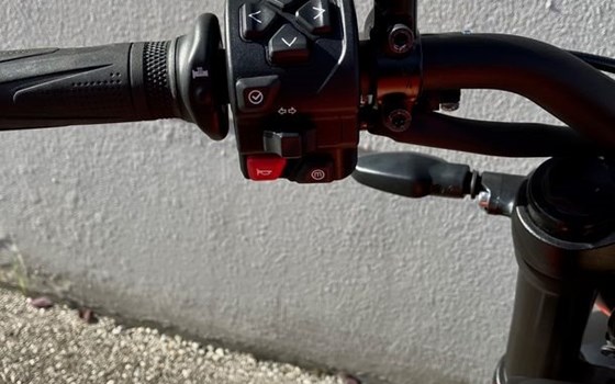 Gebrauchtmotorrad Triumph Trident 660 - Bild 8 Gebrauchtmotorrad Triumph Trident 660 - Bild 8