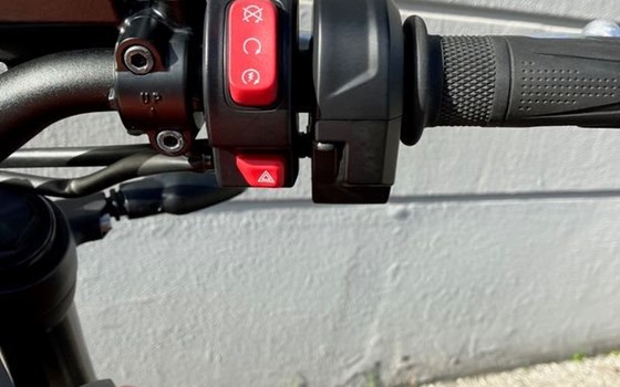 Gebrauchtmotorrad Triumph Trident 660 - Bild 9 Gebrauchtmotorrad Triumph Trident 660 - Bild 9