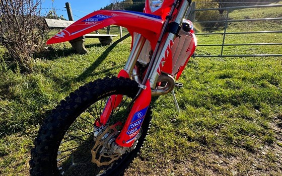 Gebrauchtmotorrad Beta RR 300 Racing - Bild 5 Gebrauchtmotorrad Beta RR 300 Racing - Bild 5