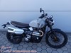 Triumph Scrambler 900