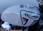 Angebot Triumph Scrambler 900
