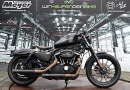 Gebrauchte Harley-Davidson Sportster XL 883 N Iron