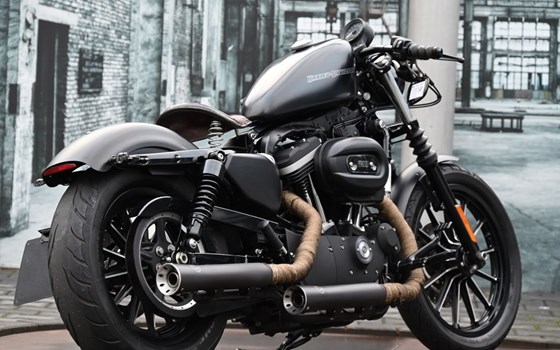 Gebrauchtmotorrad Harley-Davidson Sportster XL 883 N Iron - Bild 12