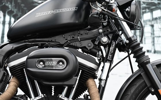 Gebrauchtmotorrad Harley-Davidson Sportster XL 883 N Iron - Bild 2