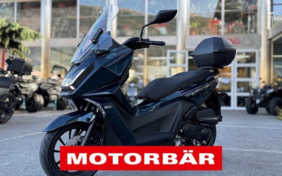 Neufahrzeug Kymco Sky Town 50i - Bild 2