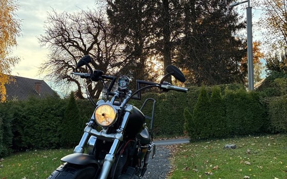 Gebrauchtmotorrad Harley-Davidson Sportster XL 1200 - Bild 10