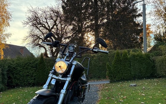 Gebrauchtmotorrad Harley-Davidson Sportster XL 1200 - Bild 10