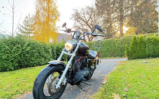 Gebrauchtmotorrad Harley-Davidson Sportster XL 1200 - Bild 2