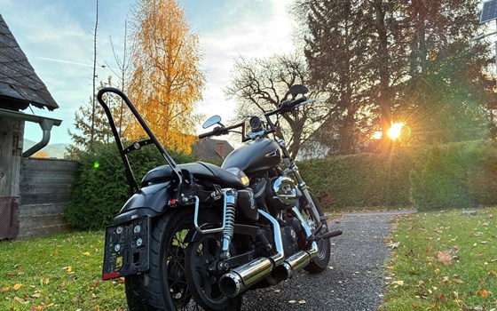 Gebrauchtmotorrad Harley-Davidson Sportster XL 1200 - Bild 3