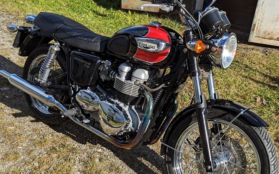 Gebrauchtmotorrad Triumph Bonneville T100 - Bild 1