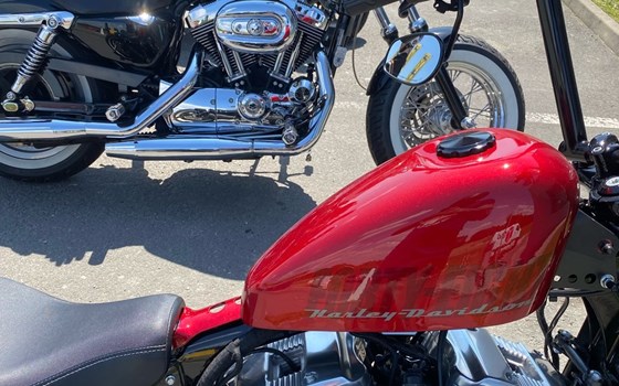 Gebrauchtmotorrad Harley-Davidson Sportster XL 1200X Forty-Eight - Bild 8