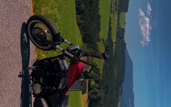 Gebrauchtmotorrad Harley-Davidson Sportster XL 1200X Forty-Eight - Bild 6