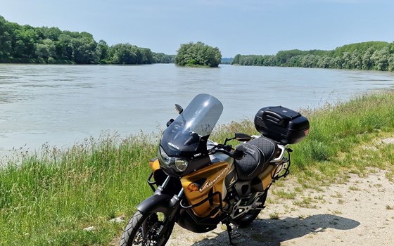 Gebrauchtmotorrad Honda XL 1000 V Varadero - Bild 2