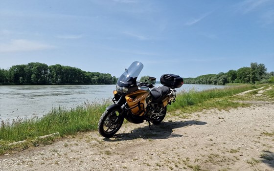 Gebrauchtmotorrad Honda XL 1000 V Varadero - Bild 4