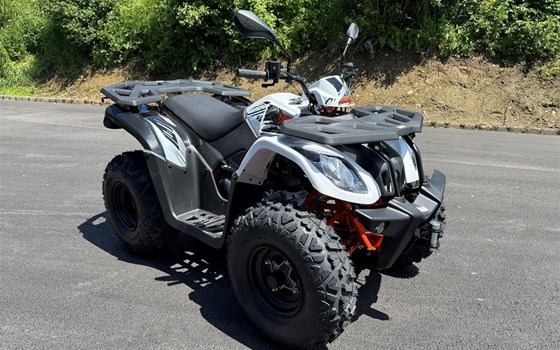 Neufahrzeug Kayo AU 200 - Bild 8