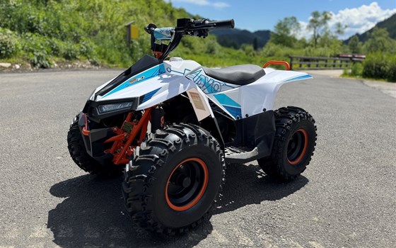 Neufahrzeug Kayo Fox 70 - Bild 7