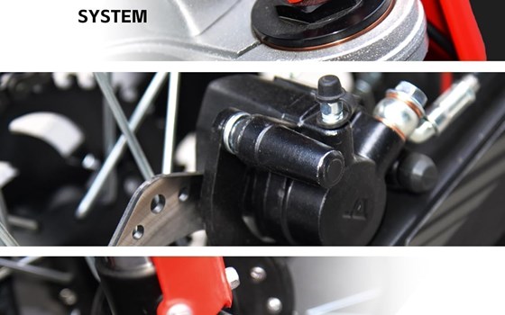Neufahrzeug Vertemati C500 - Bild 6