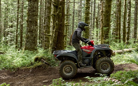 Neufahrzeug Yamaha Grizzly 700 EPS - Bild 5