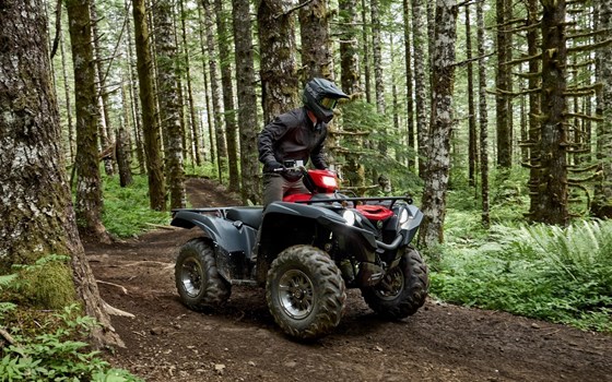 Neufahrzeug Yamaha Grizzly 700 EPS - Bild 8