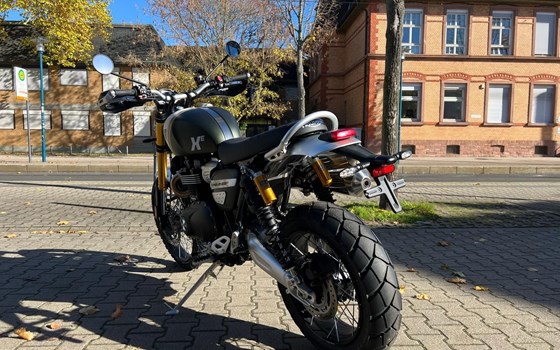 Neufahrzeug Triumph Scrambler 1200 XE - Bild 15
