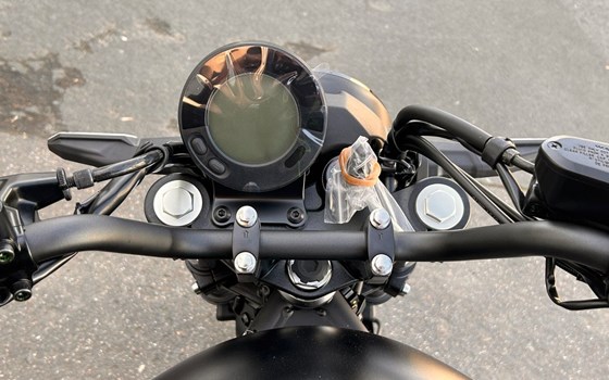 Neufahrzeug Kawasaki Eliminator 600 - Bild 10