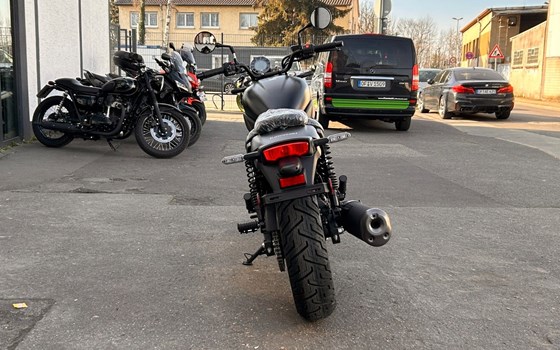 Neufahrzeug Kawasaki Eliminator 600 - Bild 4