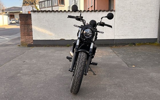 Neufahrzeug Kawasaki Eliminator 600 - Bild 8