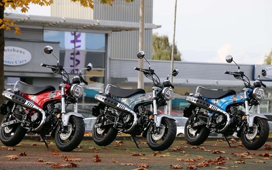 Gebrauchtmotorrad Honda Dax 125 - Bild 1