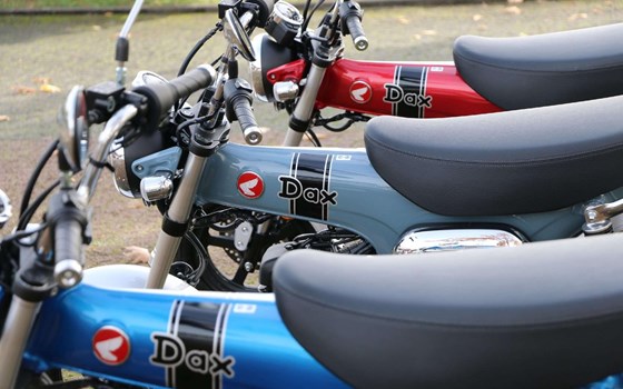 Gebrauchtmotorrad Honda Dax 125 - Bild 10