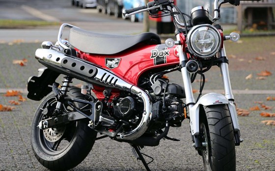 Gebrauchtmotorrad Honda Dax 125 - Bild 2