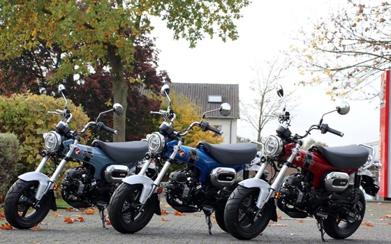 Gebrauchtmotorrad Honda Dax 125 - Bild 9