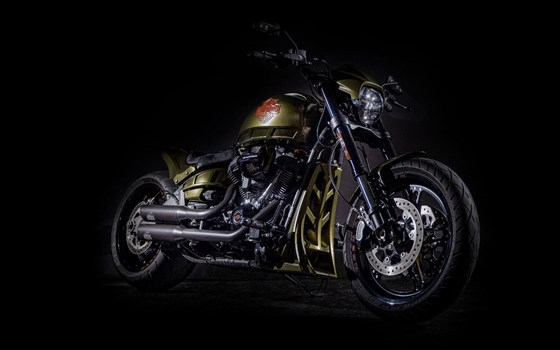 Gebrauchtmotorrad Harley-Davidson Softail FXDR 114 FXDRS - Bild 19