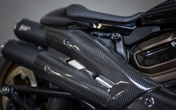 Gebrauchtmotorrad Harley-Davidson Sportster S RH1250S - Bild 21