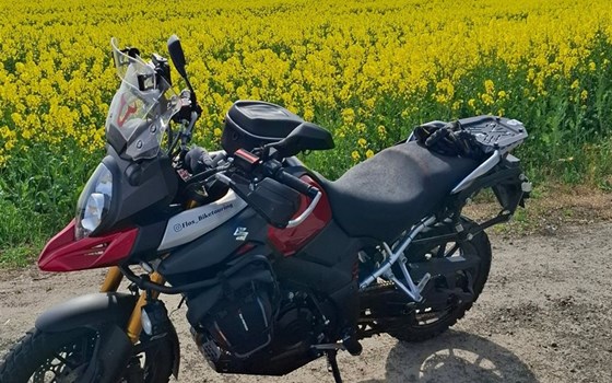 Gebrauchtmotorrad Suzuki V-Strom 1000 - Bild 8