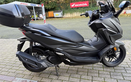 Gebrauchtmotorrad Honda Forza 125 - Bild 1