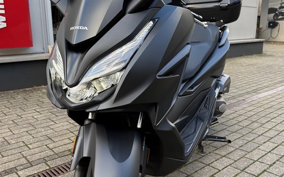 Gebrauchtmotorrad Honda Forza 125 - Bild 8