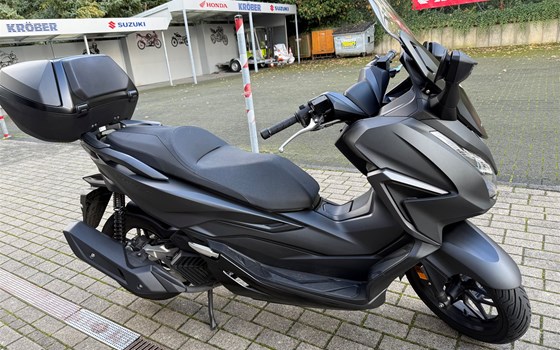 Gebrauchtmotorrad Honda Forza 125 - Bild 2