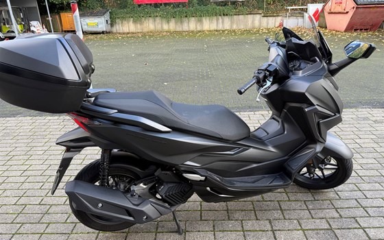 Gebrauchtmotorrad Honda Forza 125 - Bild 3